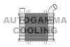AUTOGAMMA 104939 Intercooler, charger